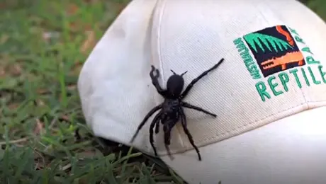 Το νέο μέλος του πάρκου, ο «Ηρακλής»