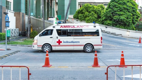 asthenoforo tailandi.jpg