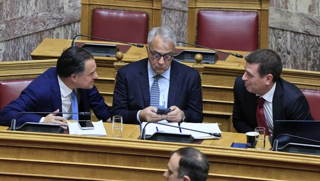 boridis-skertsos-georgiadis