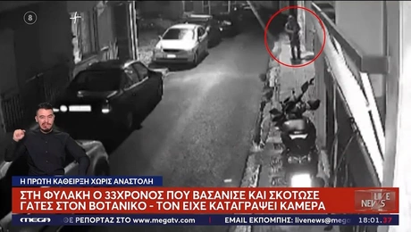 Ο 33χρονος που σκότωνε γάτες στον Βοτανικό