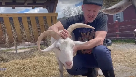 Ο Νταγκ Γουίλεν επί τω έργω