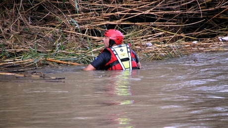 Ερευνα πυροσβεστικής