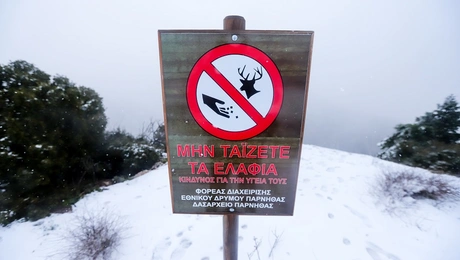 Χιονόπτωση στην Πάρνηθα