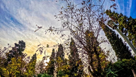 Ηλιοφάνεια