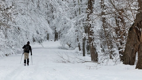 Σφοδρή καταιγίδα πλήττει τις ΗΠΑ