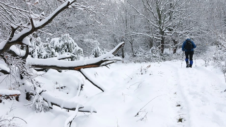 Κακοκαιρία Avgi