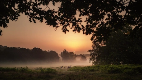 Κλιματική αλλαγή