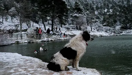 limni mpeletsi parnitha.jpg