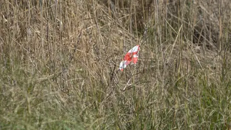 Το σημείο όπου βρέθηκε νεκρός ο 31χρονος στο Μεσολόγγι