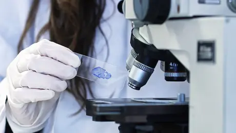 Μικροσκόπιο