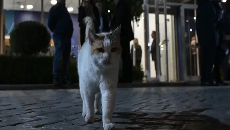 Συνεδρίαση βουλευτών της ΝΔ για τον γάμο των ομόφυλων ζευγαριών