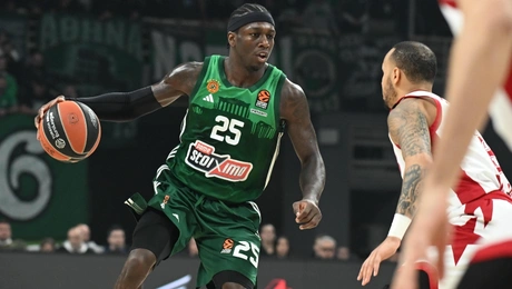 panathinaikos armani