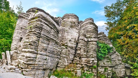 petrino-dasos-zagorochoria