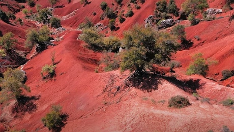 Το λοφοπέδιο του Κοκκινοπηλού