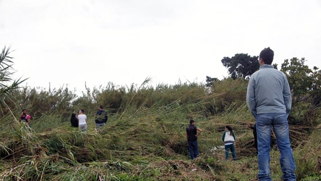 Έρευνα της Πυροσβεστικής