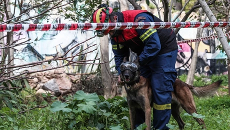 Έρευνα πυροσβεστικής