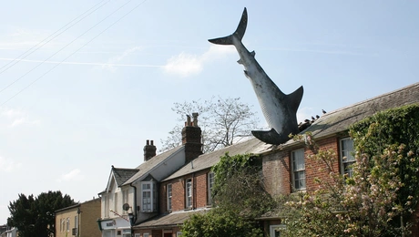 Το Shark House στην Οξφόρδη