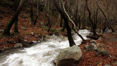 Η Στενή Ευβοίας