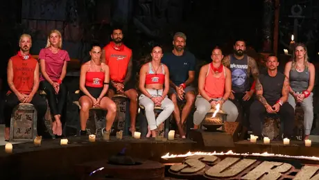 Survivor: Διάσημοι