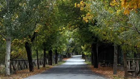 Ο δρόμος της αγάπης στη Βυτίνα