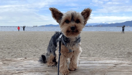 Η Microsoft θα προσφέρει σύντομα το δικό της εργαλείο επεξεργασίας φωτογραφιών με ΑΙ.