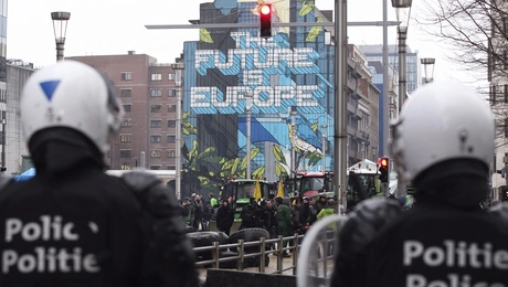 agrotes brussels.jpg