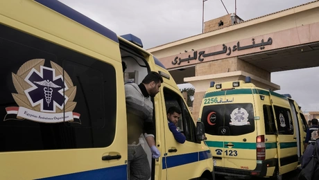 aigiptos asthenofora