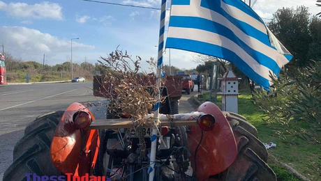 Καμένα ελαιόδεντρα στην Αλεξανδρούπολη
