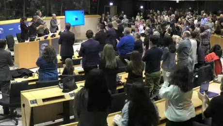 Η Μαρία Καρυστιανού στο Ευρωκοινοβούλιο