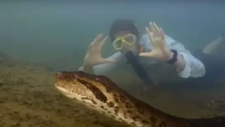 Ο βιολόγος δίπλα στο τεράστιο ανακόντα