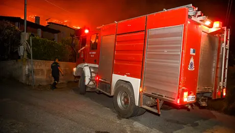 fotia-purosbestiki-bradu