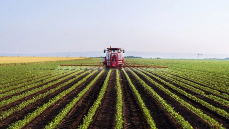 Φυτοφάρμακα