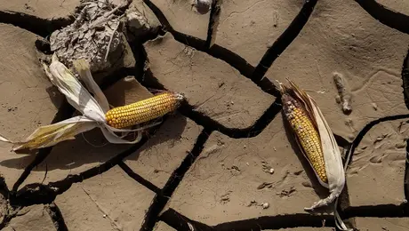 Πέρασμα της κακοκαιρίας Daniel