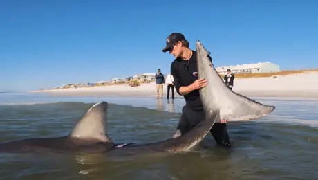 Ο Kenny έκανε τον θηρευτή θήραμα