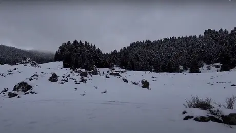 Η χιονισμένη Κεχρωτή Μαινάλου