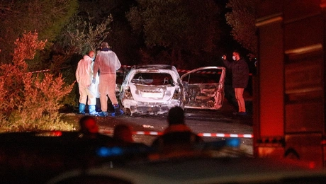 mandra-epixeirmatias