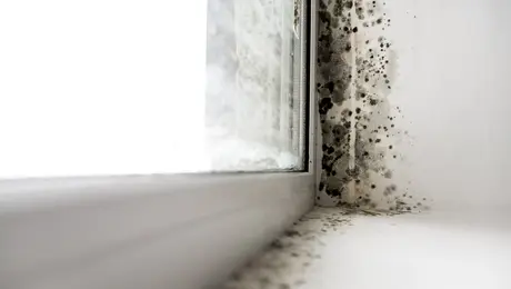 Μούχλα στο σπίτι