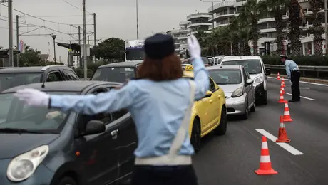 troxaia troxonomos.jpg