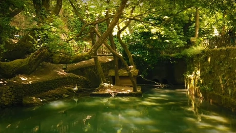 Το ρέμα του χωριού