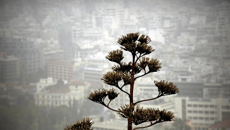 Αφρικάνικη σκόνη στην Αθήνα
