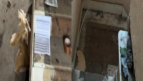 Ανακαίνιση σπιτιού