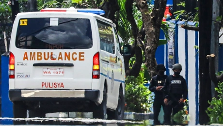 asthenoforo philippines