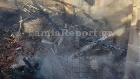 Φωτιά στη Φθιώτιδα