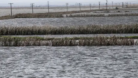 Κακοκαιρία Daniel