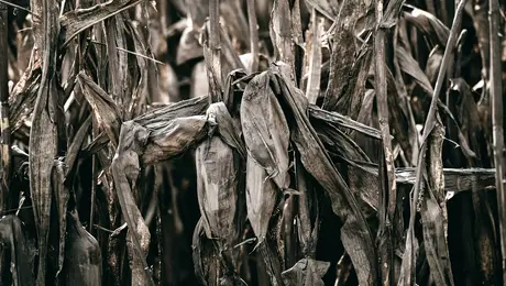 Κακοκαιρία στη Θεσσαλία