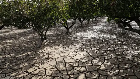 Κακοκαιρία στη Θεσσαλία
