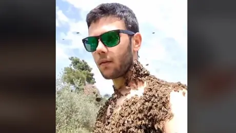 Ο tiktoker «Ορεινή Μέλισσα»