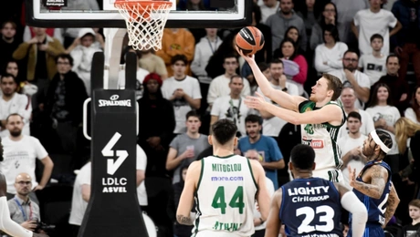 panathinaikos basket