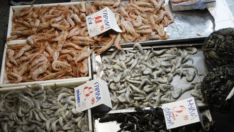 Ψαραγορά στη Βαρβάκειο