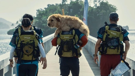 Άρθουρ ο βασιλιάς